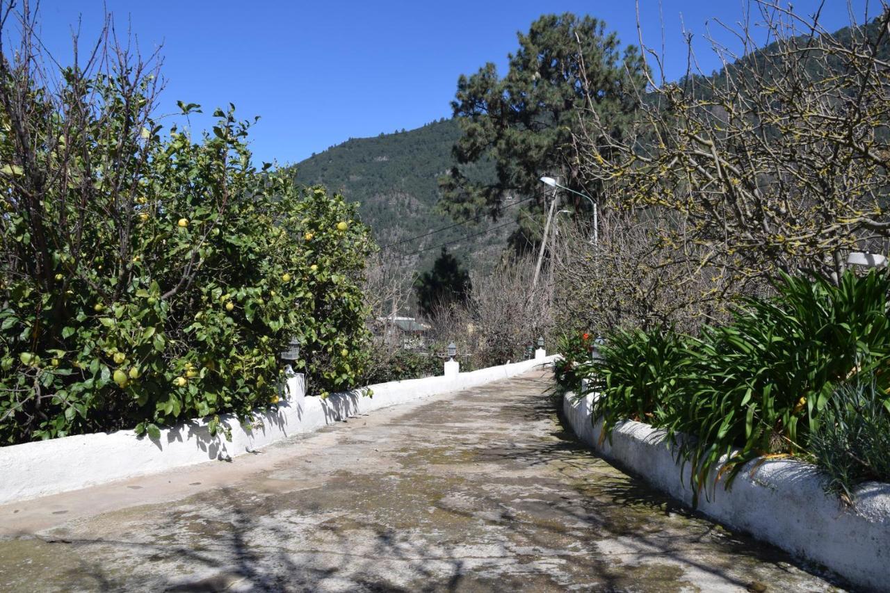 Casa Rural Juli Santa Cruz de Tenerife Exterior photo